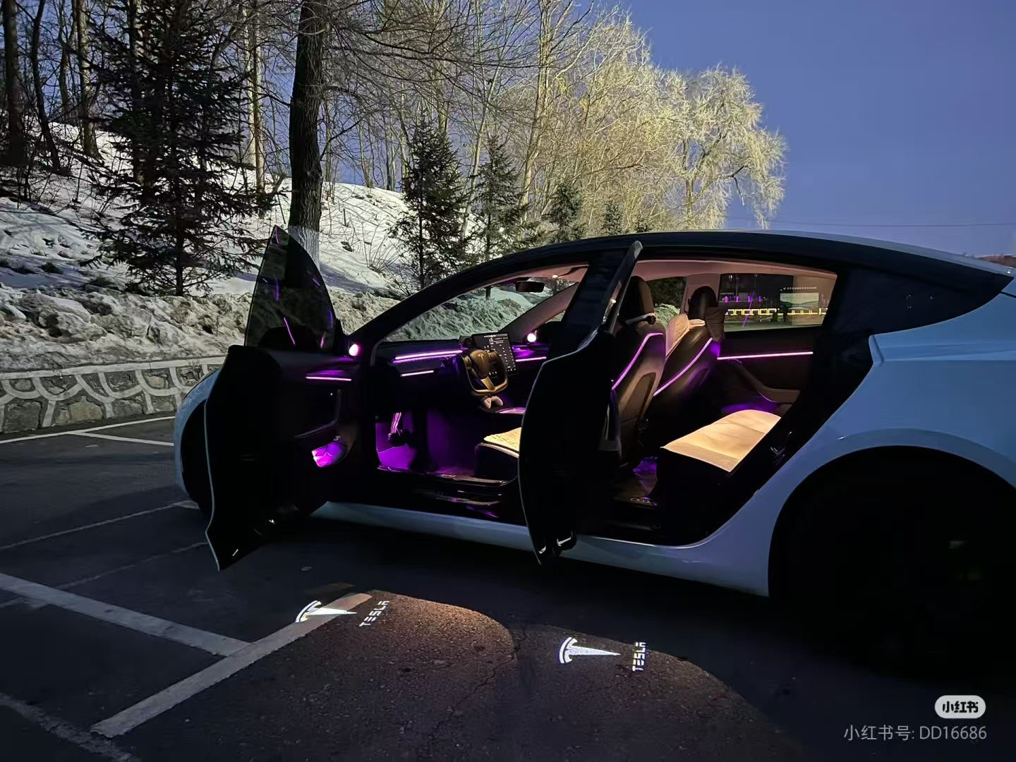 Ambient Light for Tesla Model 3 / Model Y (bundle)